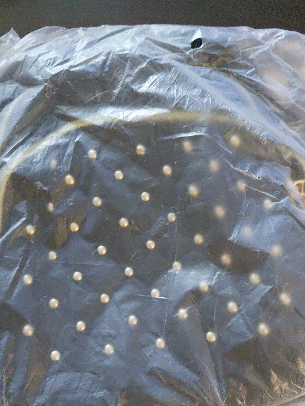 Black Studded Tote Bag - Pearl Accent